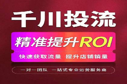 SEM代运营案例分析：精准投放策略解析